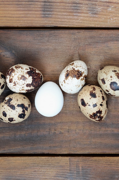 Huevos de codorniz en una superficie de madera marrón oscuro, vista desde arriba, lugar vacío para el texto, receta