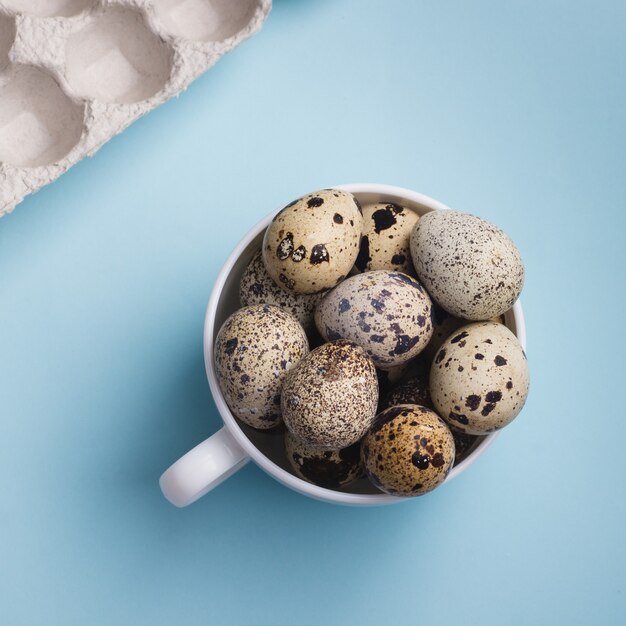 Huevos de codorniz en taza y envases de cartón sobre fondo azul.