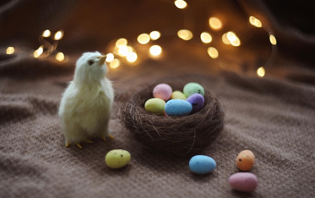 Huevos coloridos y pollo amarillo pequeño Composición de Pascua de primavera Espacio para texto o diseño Tarjeta de Pascua o pancarta