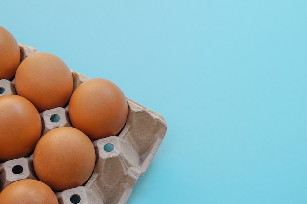 Huevos crudos de pollo en un panel de huevos de papel o en un puesto de huevos sobre fondo azul.