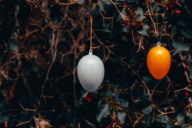 Foto huevos de decoración de pascua colgados en un árbol