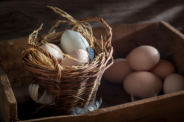 Huevos frescos y ecológicos en la cesta