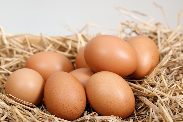 Los huevos frescos están listos para el desayuno en la granja.