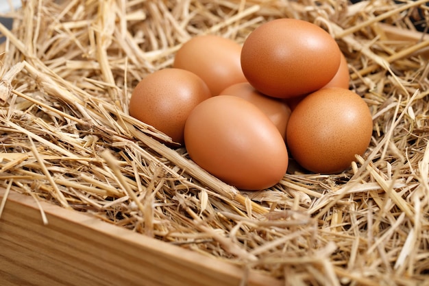 Los huevos frescos están listos para el desayuno en la granja.