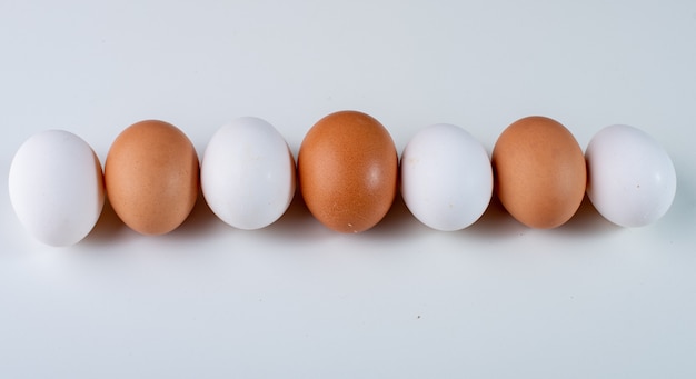 Foto huevos de gallina aislados en blanco