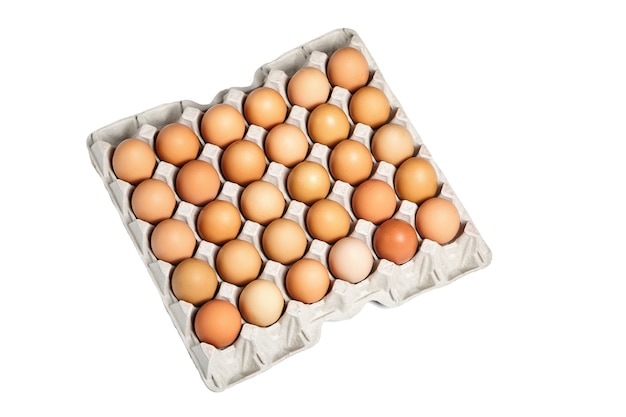 Huevos de gallina en bandeja de cartón aislado