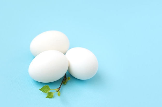 Huevos de gallina blanca con hojas verdes en una rama.