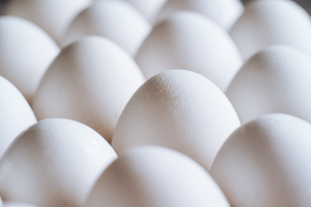 Huevos de gallina blanca en un recipiente