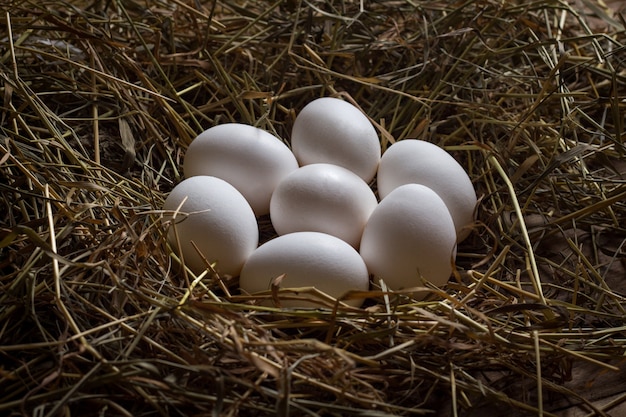 Huevos de gallina blanca sobre un heno sobre un fondo de madera. Concepto de producto agrícola
