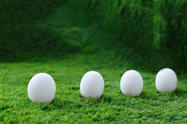 Huevos de gallina blanca sobre hierba verde que son un símbolo de la celebración de la fiesta religiosa de Pascua entre cristianos y católicos