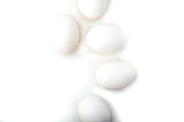 Huevos de gallina blanca