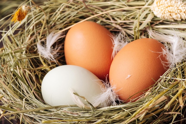 Huevos de gallina blancos y marrones en un nido de hierba sobre un fondo marrón