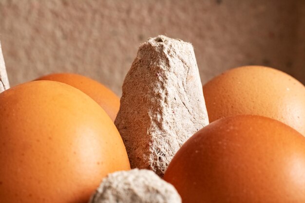 Huevos de gallina en una caja de cartón blanca