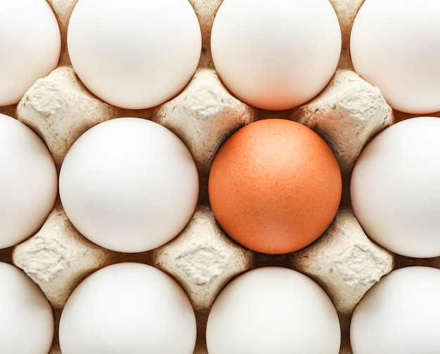 Huevos de gallina en caja de cartón