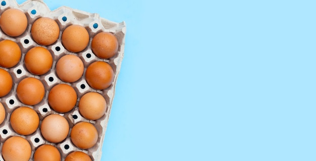 Huevos de gallina en caja de huevos de papel sobre fondo azul.