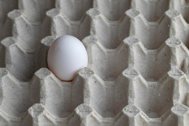 huevos de gallina en caja