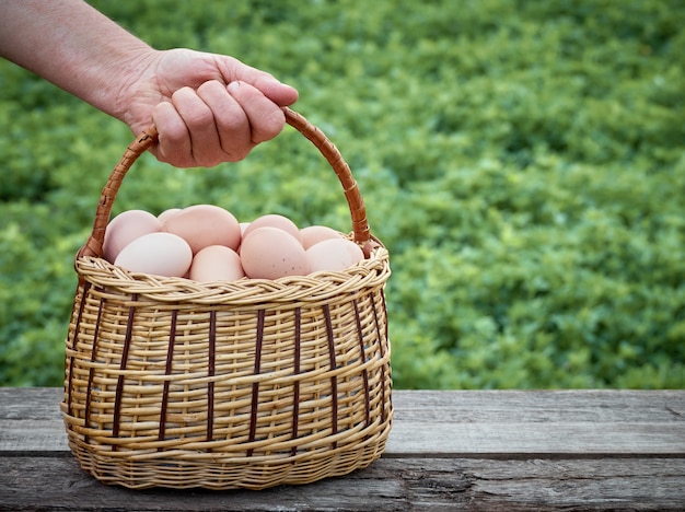 Huevos de gallina en una canasta.