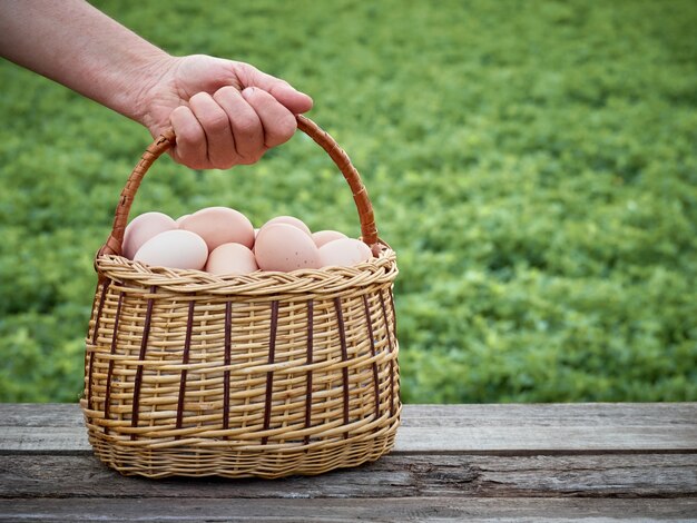 Huevos de gallina en una canasta.