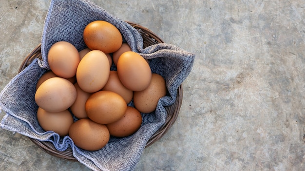 Huevos de gallina en una canasta