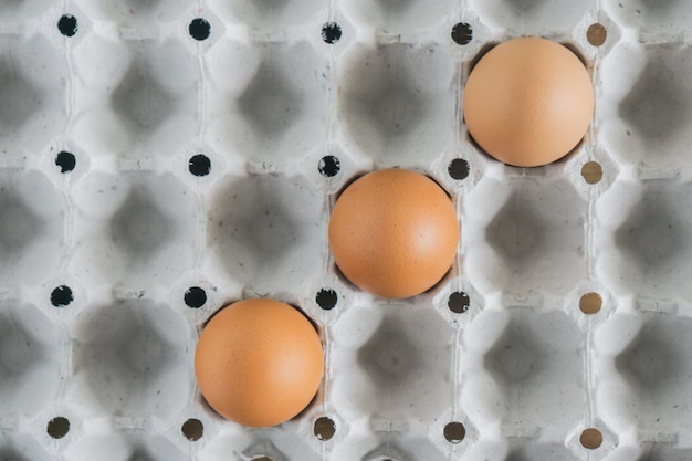 huevos de gallina en cartón