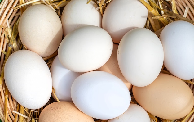 Huevos de gallina caseros en una canasta