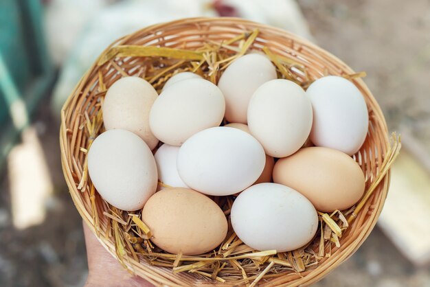 Huevos de gallina caseros en una canasta