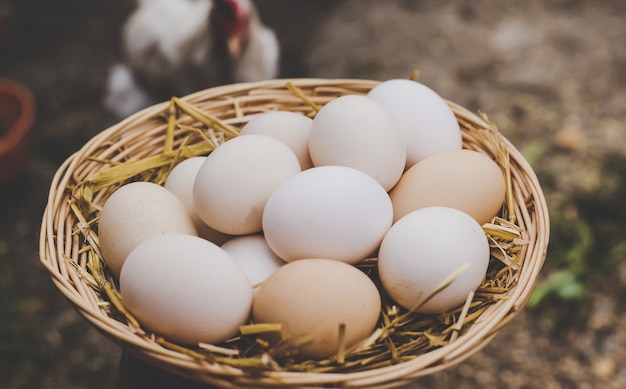 Huevos de gallina caseros en una canasta