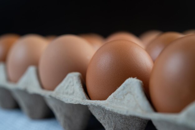 Huevos de gallina colocados en una bandeja de huevos Closeup