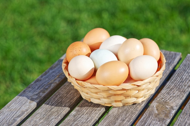 Huevos de gallina en el fondo de la hierba verde