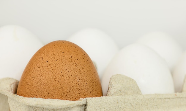 Huevos de gallina frescos en caja de papel