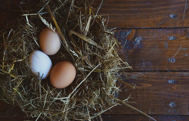 Huevos de gallina frescos en el tema de la granja de nidos.