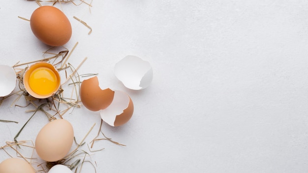 Foto huevos de gallina frescos de vista superior