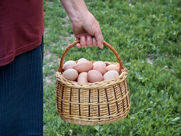 Huevos de gallina frescos.