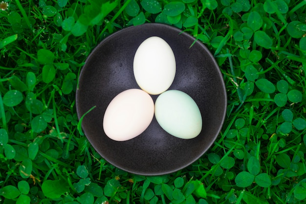 Huevos de gallina de Guinea frescos en un plato