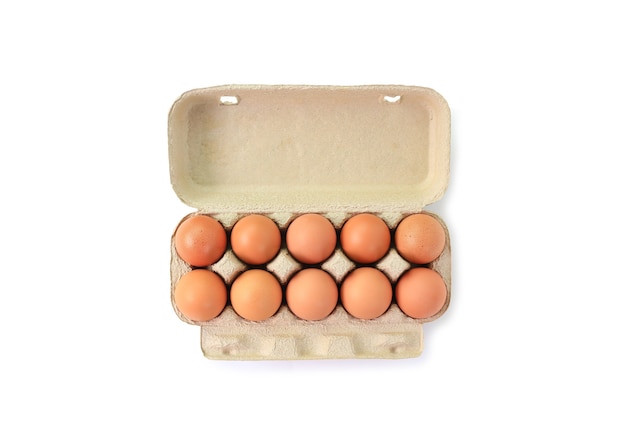 Huevos de gallina marrón en caja de cartón en blanco