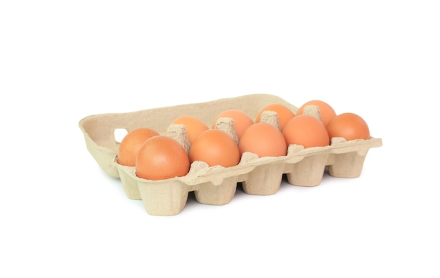 Huevos de gallina marrón en caja de cartón en blanco