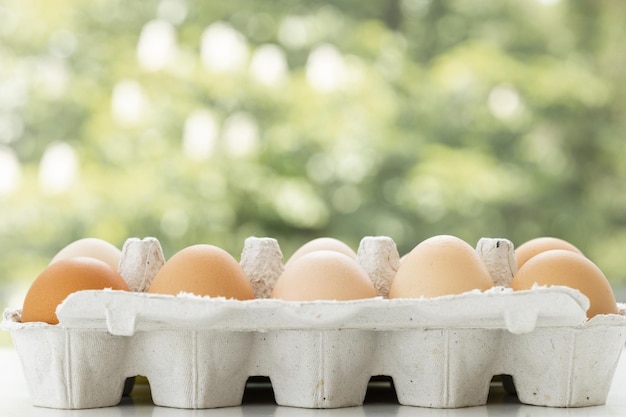 huevos de gallina marrones sobre fondo verde de la naturaleza