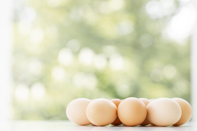 huevos de gallina marrones sobre fondo verde de la naturaleza