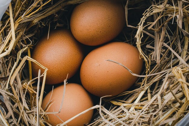 Huevos de gallina en un nido de hierba para la incubación de productos caseros orgánicos naturales