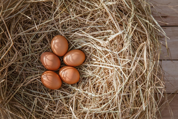 Foto huevos de gallina en un nido de pollo con paja de arroz