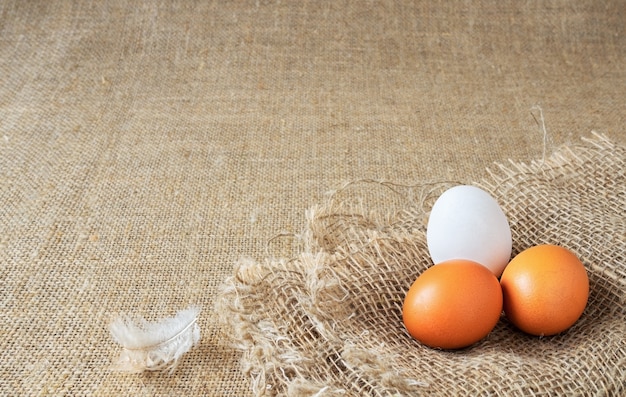 Huevos de gallina orgánicos marrones y blancos