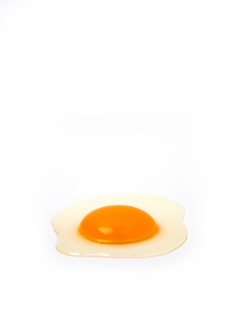 Huevos de gallina organicos