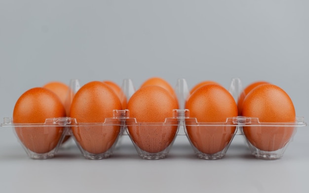 Huevos de gallina en un panel Limpie los huevos de gallina sobre un fondo gris