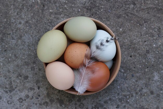 Huevos de granja coloridos en cuenco de cerámica con sobrecarga de plumas