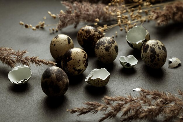 Huevos manchados, trozos de cáscara de huevo y tallos secos de hierba pampeana esparcidos en la superficie oscura de la mesa