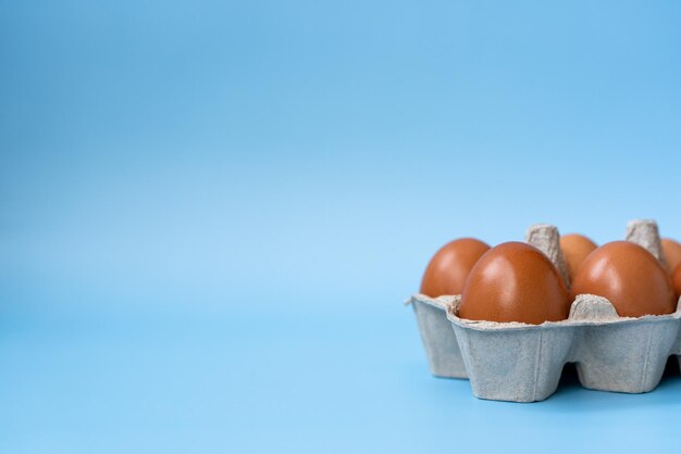 huevos marrones en una bandeja en un espacio de fondo azul para texto