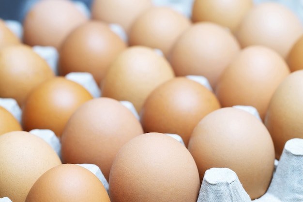 Huevos marrones en caja de cartón. Huevo roto con yema