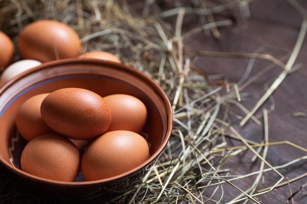 Huevos marrones en un nido Huevos de gallina caseros