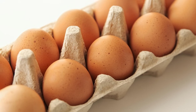 Huevos marrones de pollo Huevos crudos orgánicos en cajas de cartón contenedor