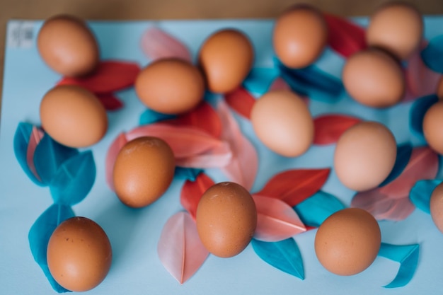 Huevos marrones de pollo y plumas de pájaro esponjosas multicolores sobre fondo azul claro. Feliz concepto de Pascua, composición plana. Vista superior.